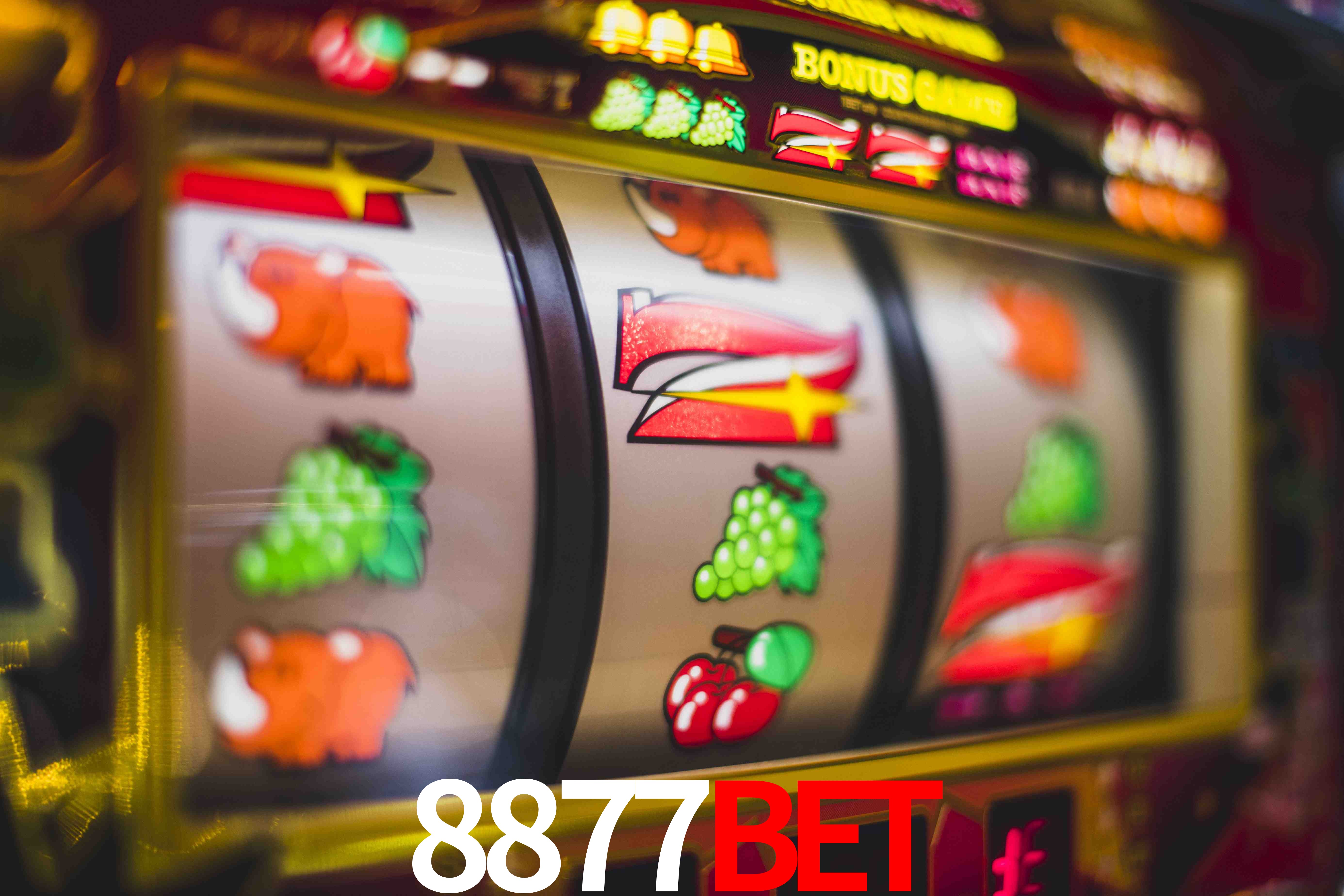 Sports Statistics 8877bet